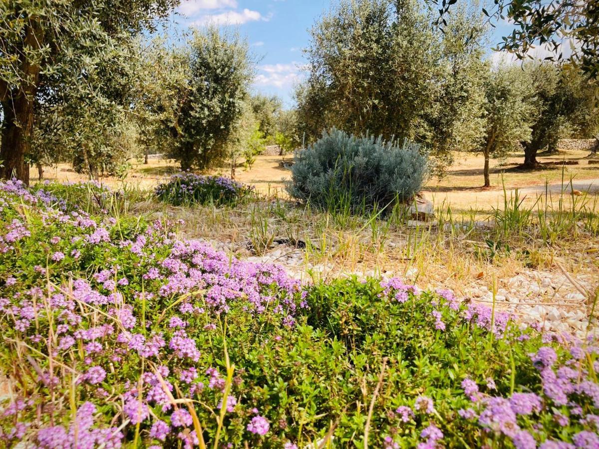 Trulli Acquasala - Apulian Country Experience Villa Ostuni Exterior photo
